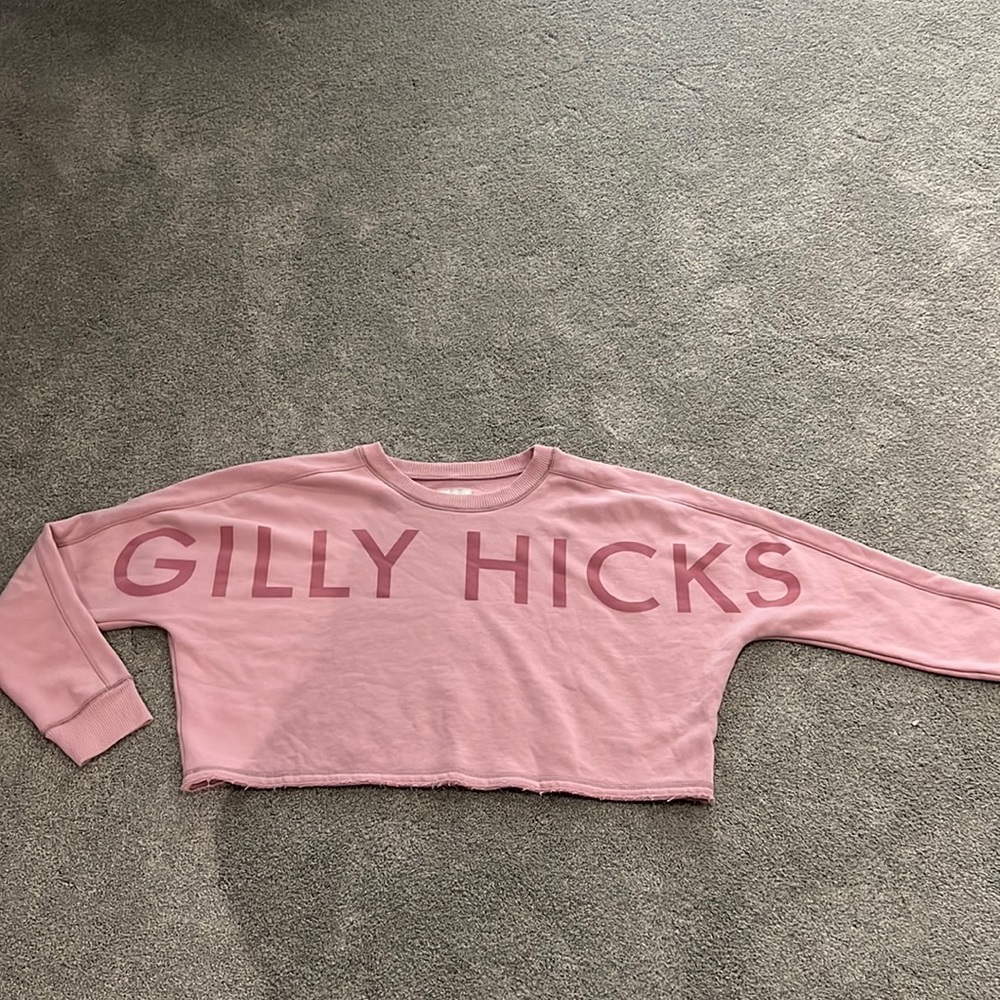Gilly Hicks by Hollister cropped pullover